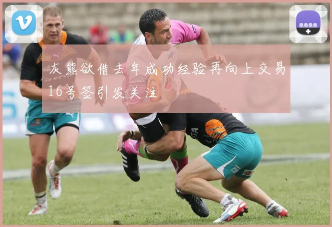 灰熊欲借去年成功经验再向上交易16号签引发关注