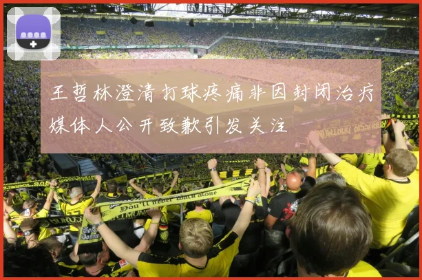 王哲林澄清打球疼痛非因封闭治疗媒体人公开致歉引发关注