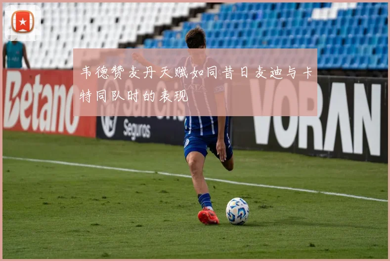 韦德赞麦丹天赋如同昔日麦迪与卡特同队时的表现