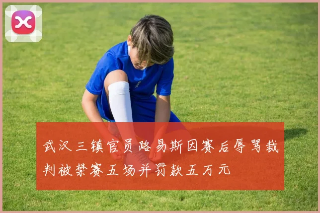 武汉三镇官员路易斯因赛后辱骂裁判被禁赛五场并罚款五万元