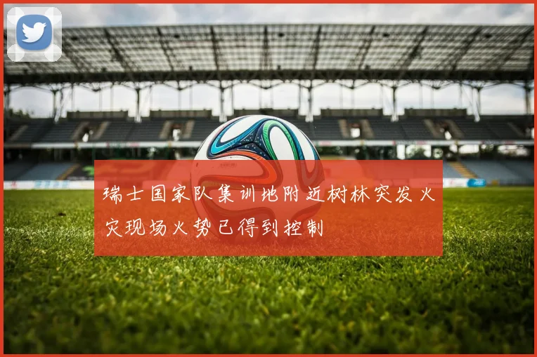 瑞士国家队集训地附近树林突发火灾现场火势已得到控制